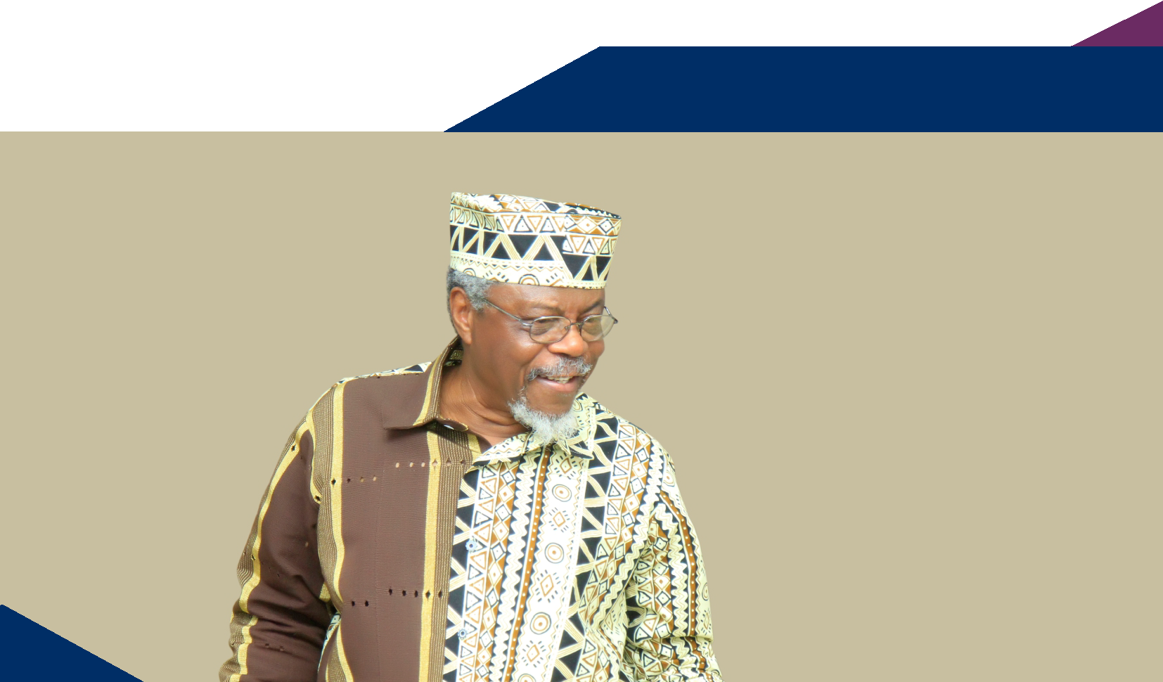Professor Toyin Falola
